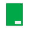Caderno Brochura 48 Folhas Tamanho 1/4 São Domingos Verde